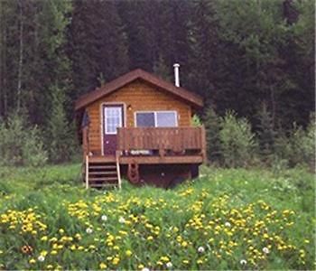 Bear Corner Adventures Bed & Bale Hotel Golden Exterior photo
