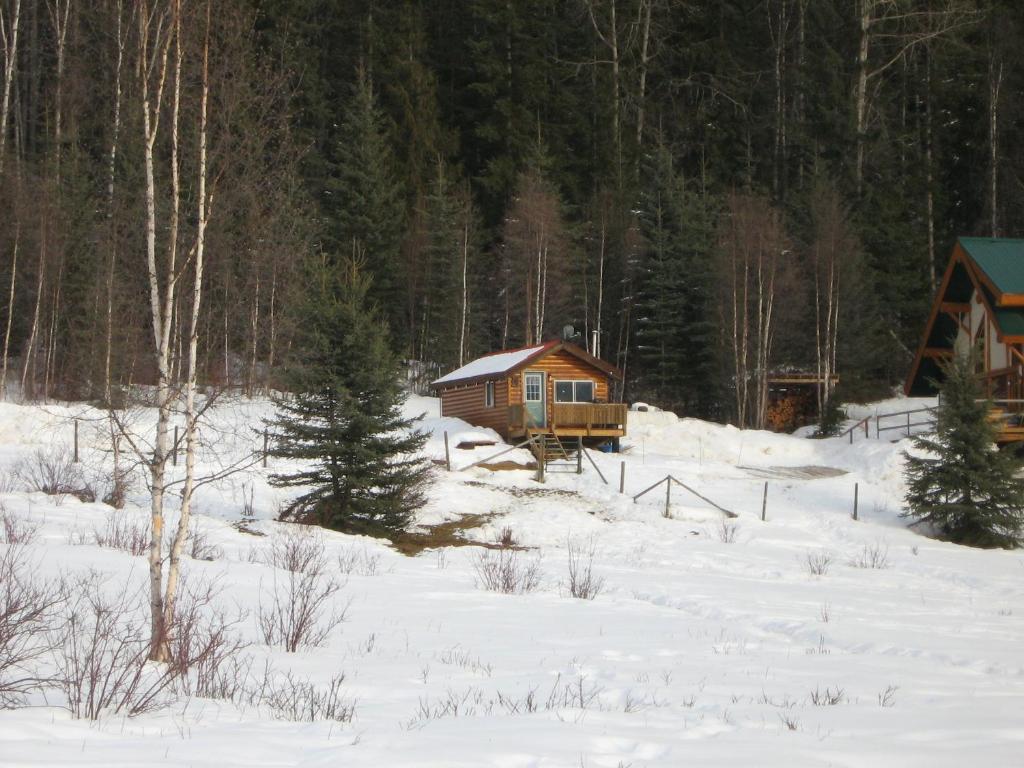 Bear Corner Adventures Bed & Bale Hotel Golden Exterior photo